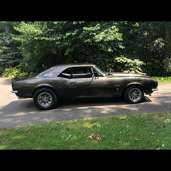 Meet your Posher, Nicholas - Picture 1 of 1